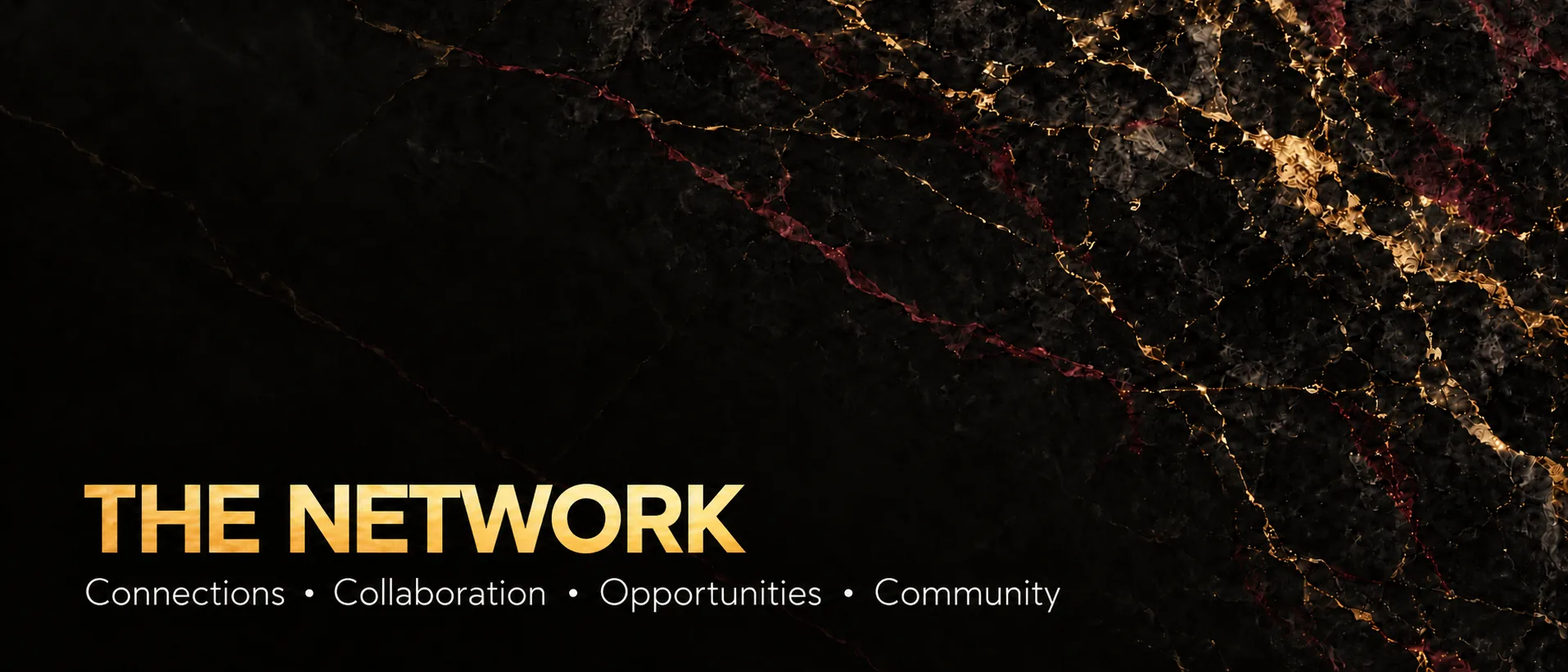 The Network — Reign Connect members at an evening event over the Calgary skyline